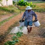 Outbrain Partners with IAS