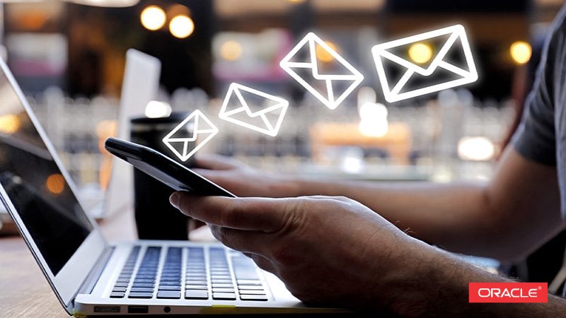 Search Engine Optimization