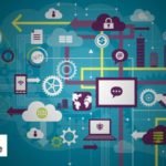 Naked Lime and Reynolds