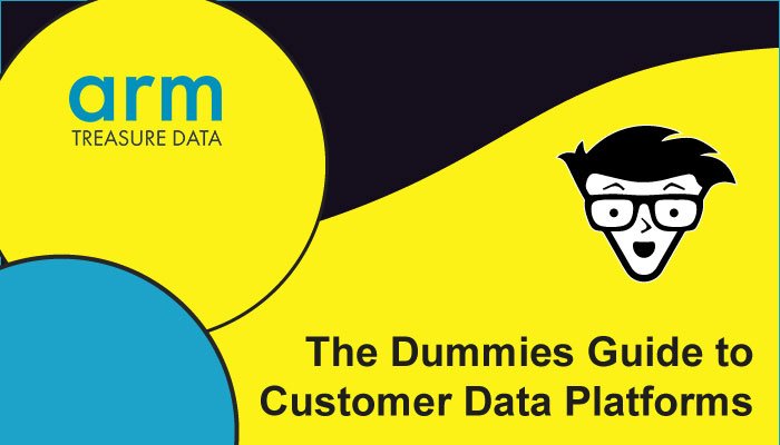 The Dummies Guide to Customer Data Platforms