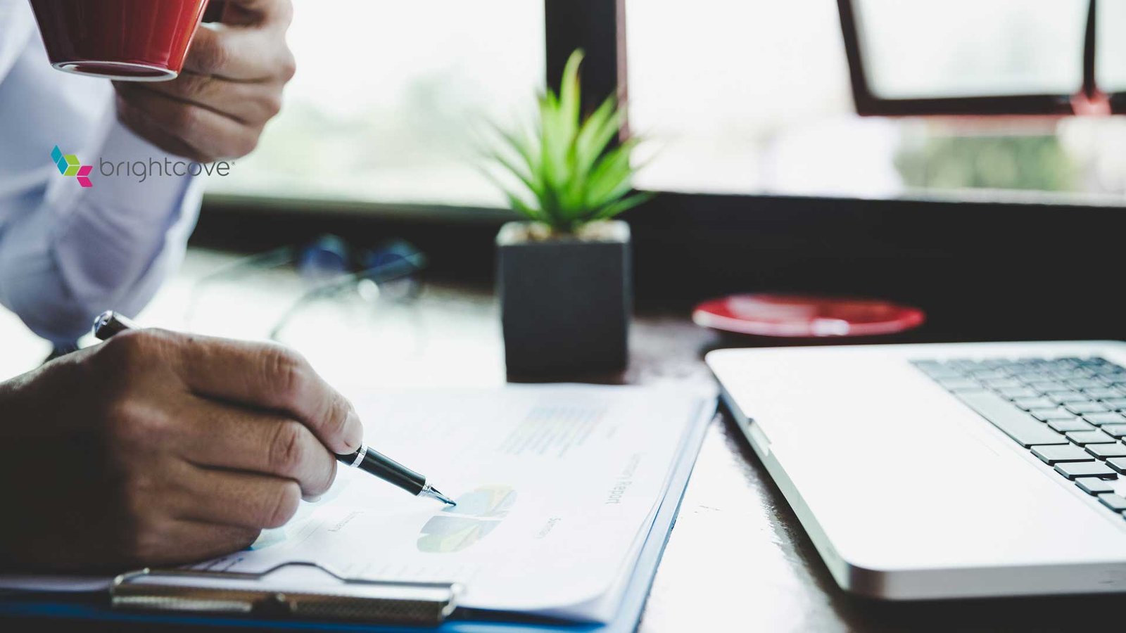 Brightcove appoints new Senior Vice President