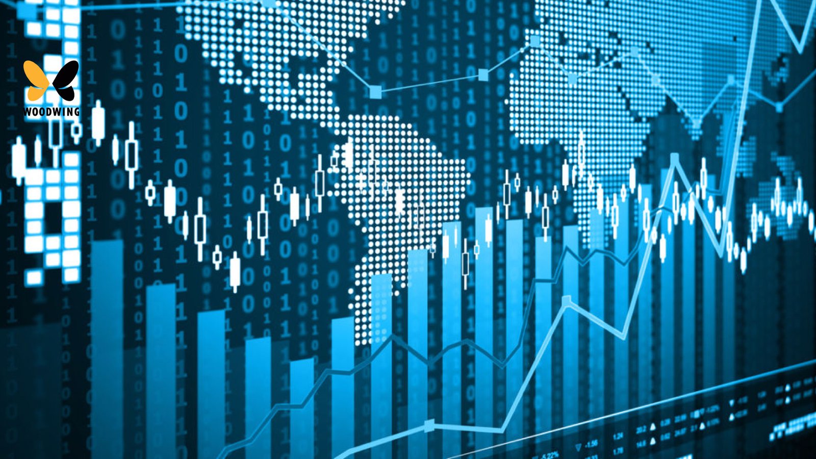 brand asset management software