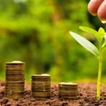 customer data platform market