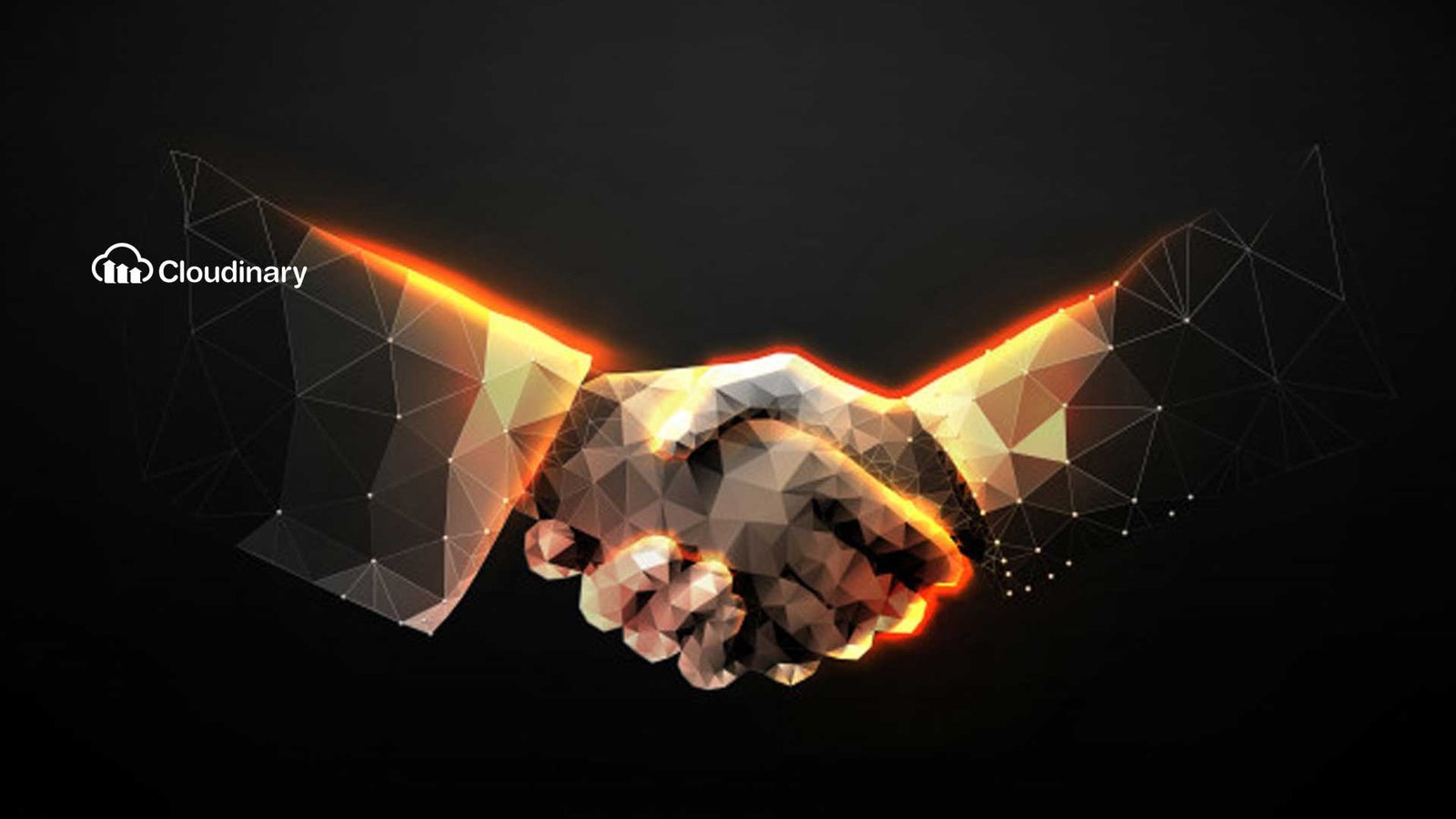 digital asset management software