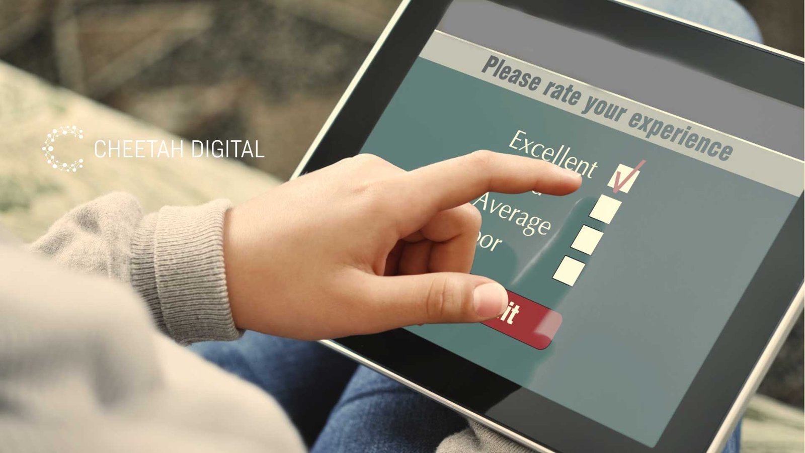 experience management