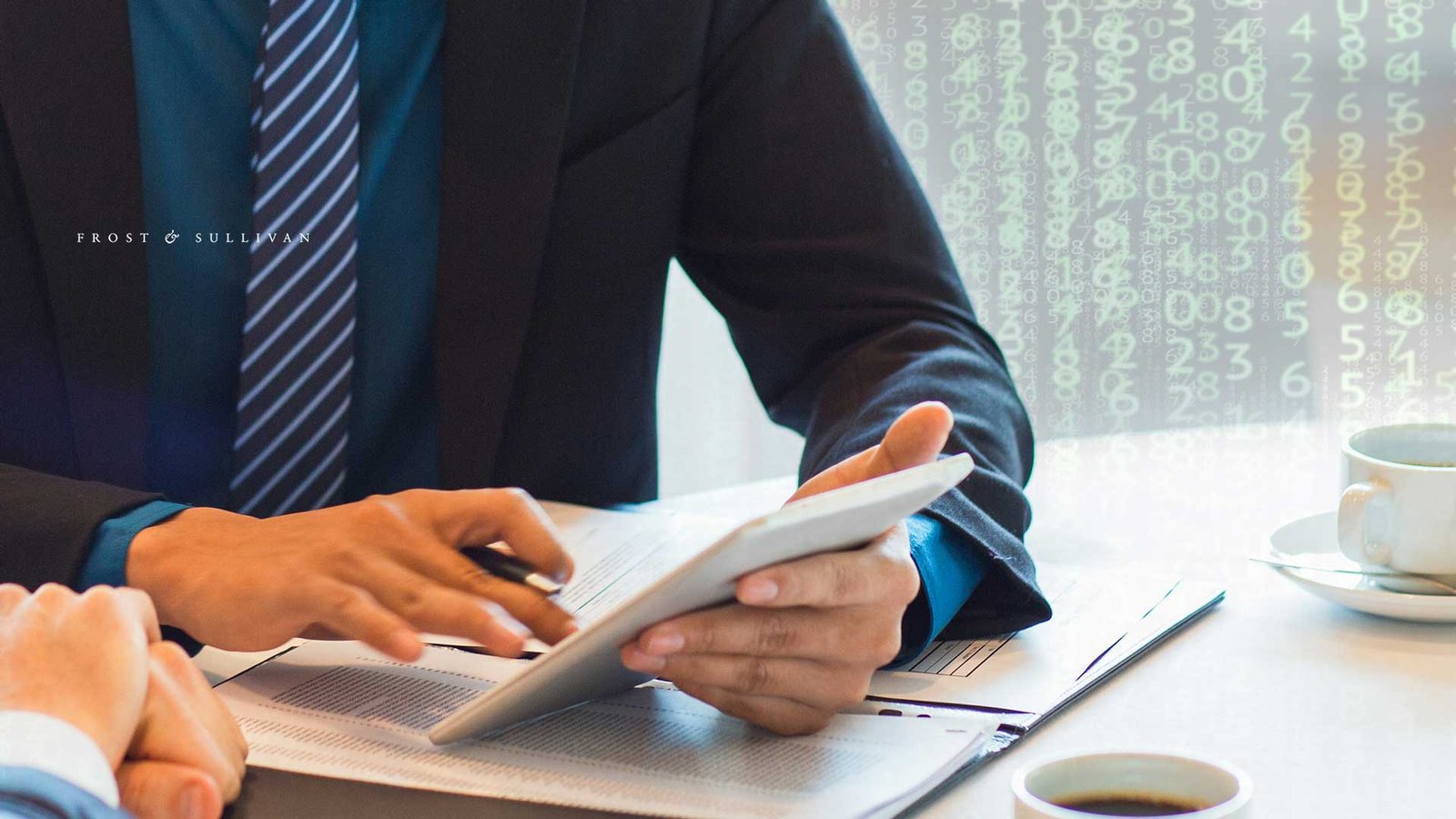 customer data platform