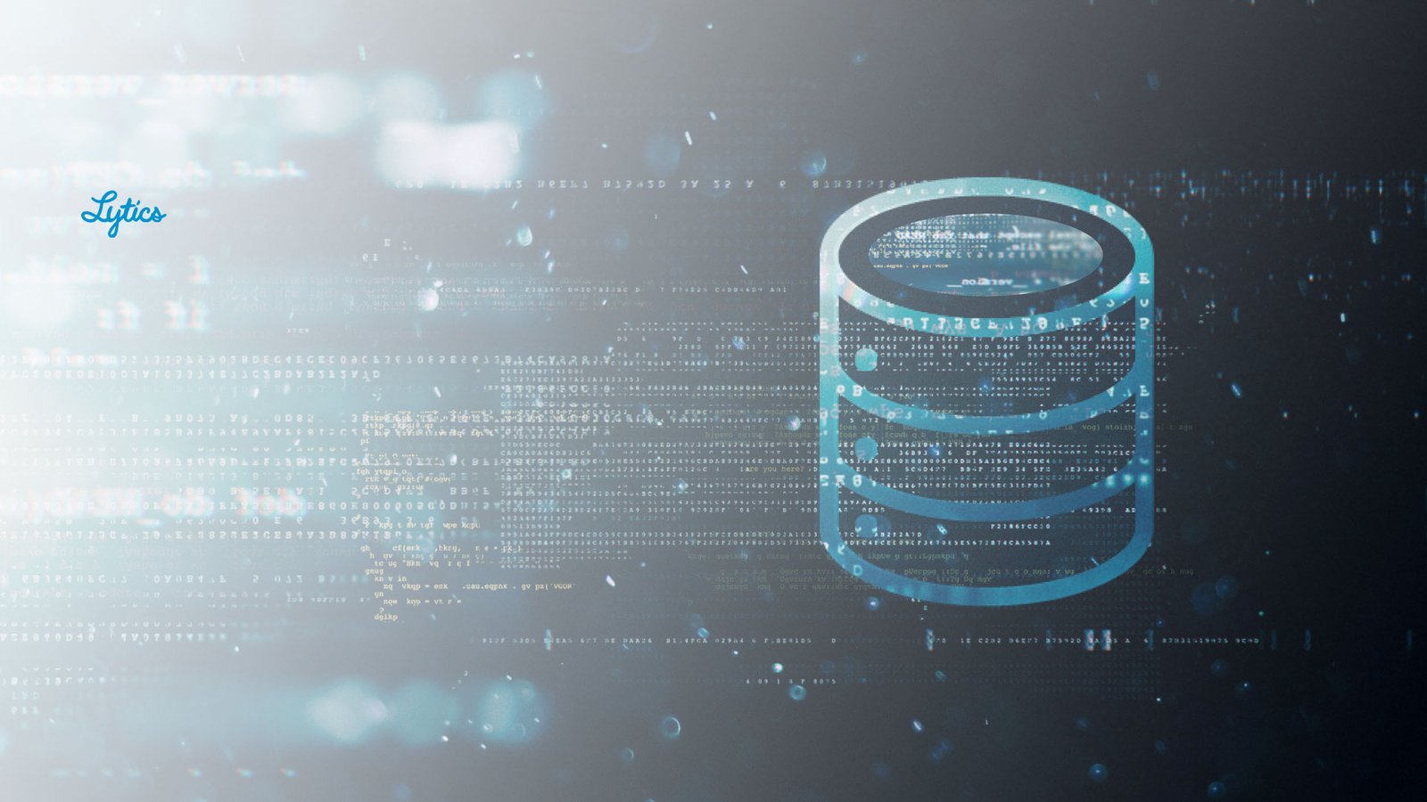 customer data platform