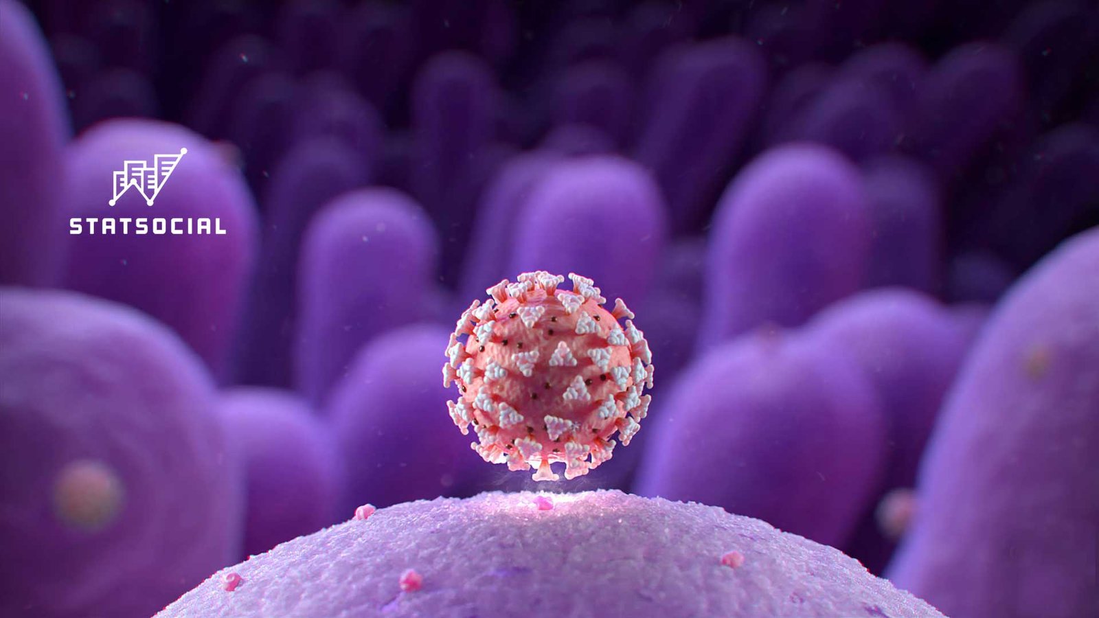 business intelligence