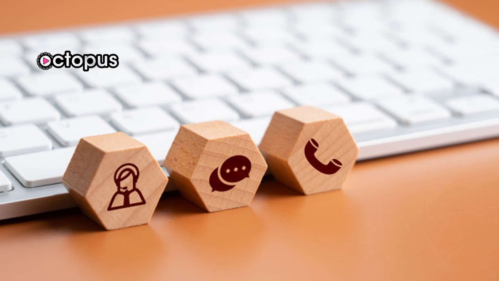 interactive digital content