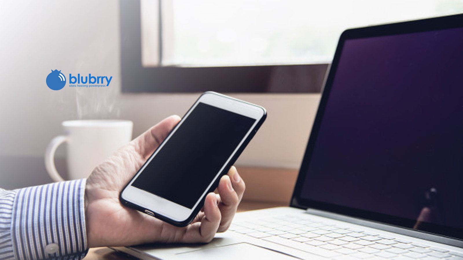 interactive web content