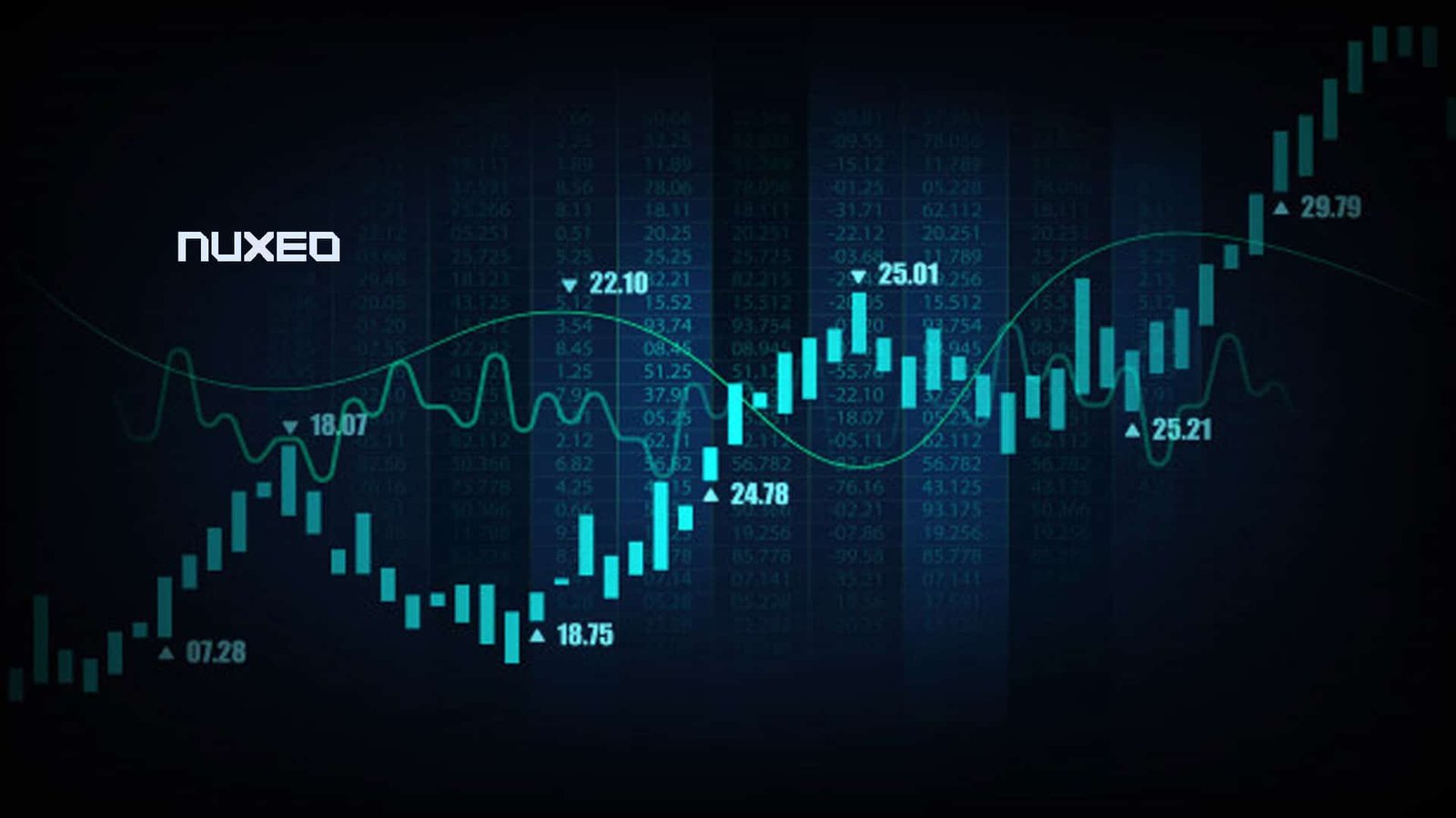 digital asset management