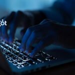 customer experience services