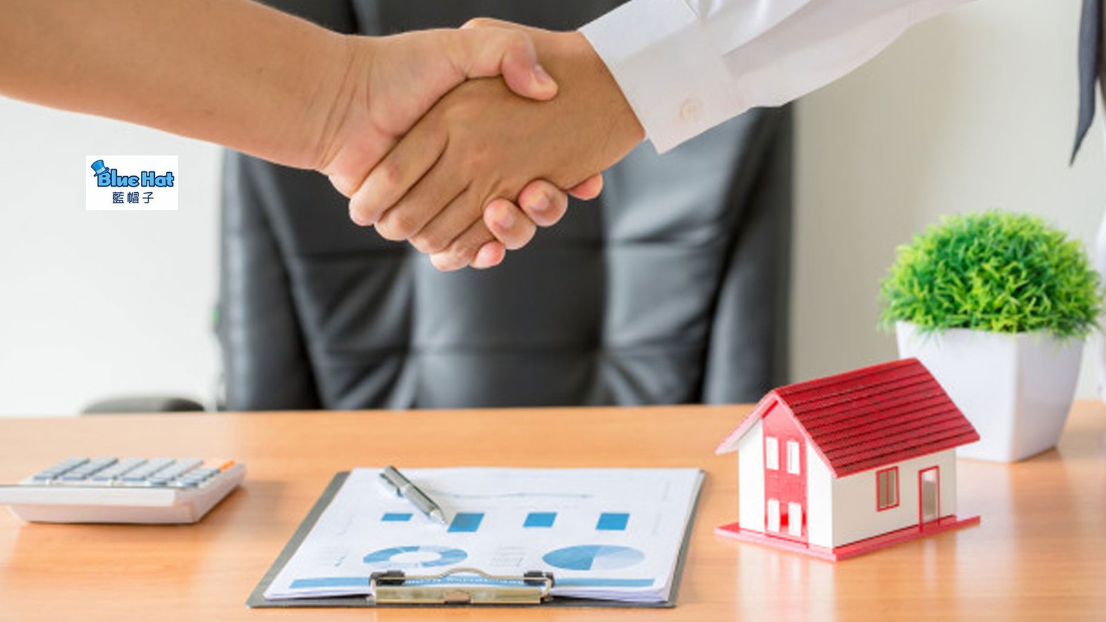 interactive web content