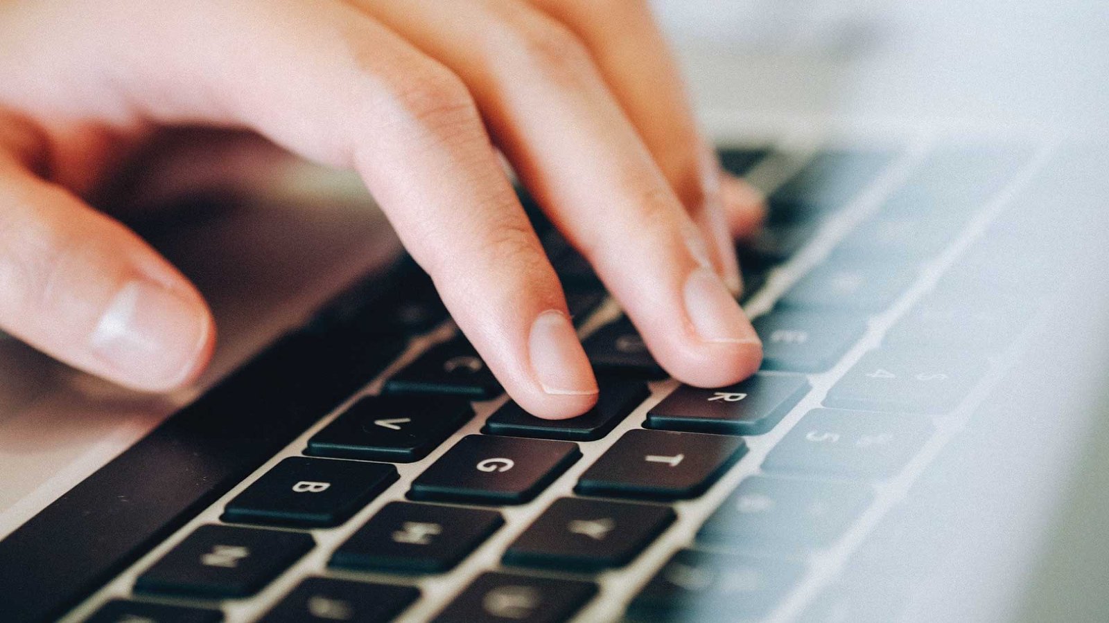 interactive digital content