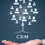 customer experience services