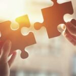 interactive digital content