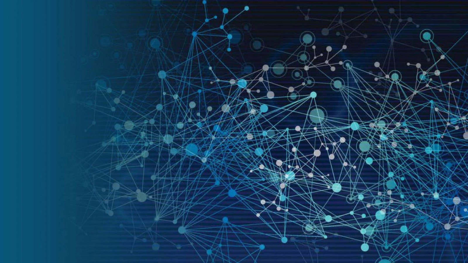 customer data platform