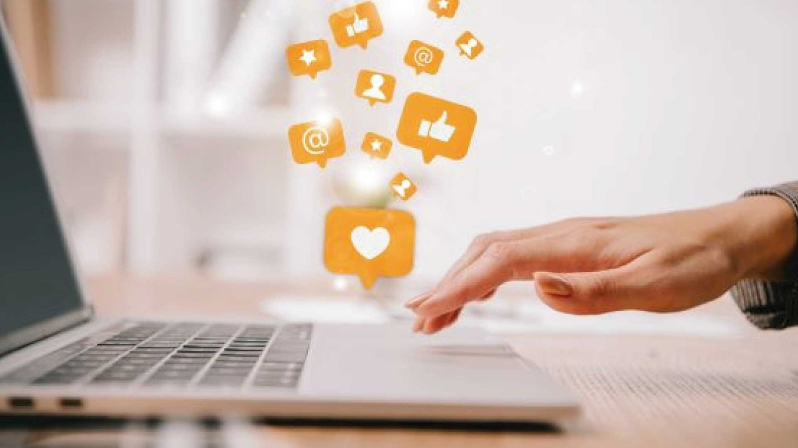 media asset management