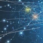 interactive web content