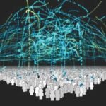 customer experience services