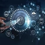 experience management