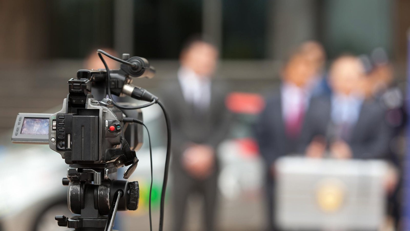 Birdelo Relaunches with AI, a Full Marketplace, and a Bird with Opinions