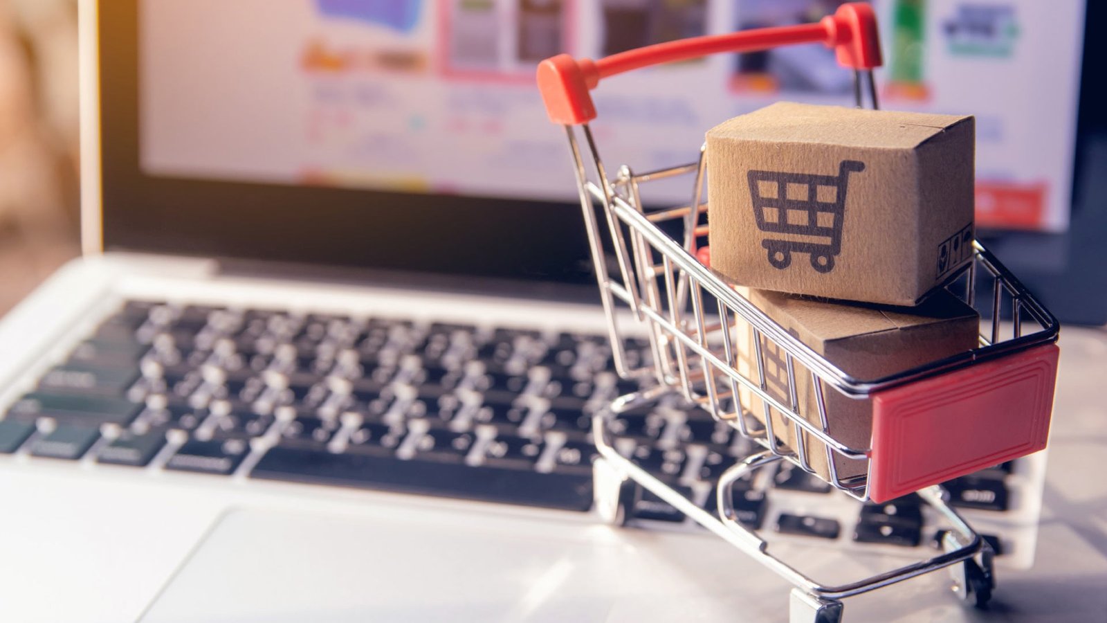 Wayvia Appoints Theresa Pham as Head of Product